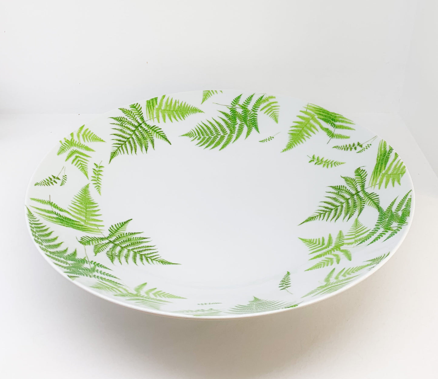 Monster Bawl Fern